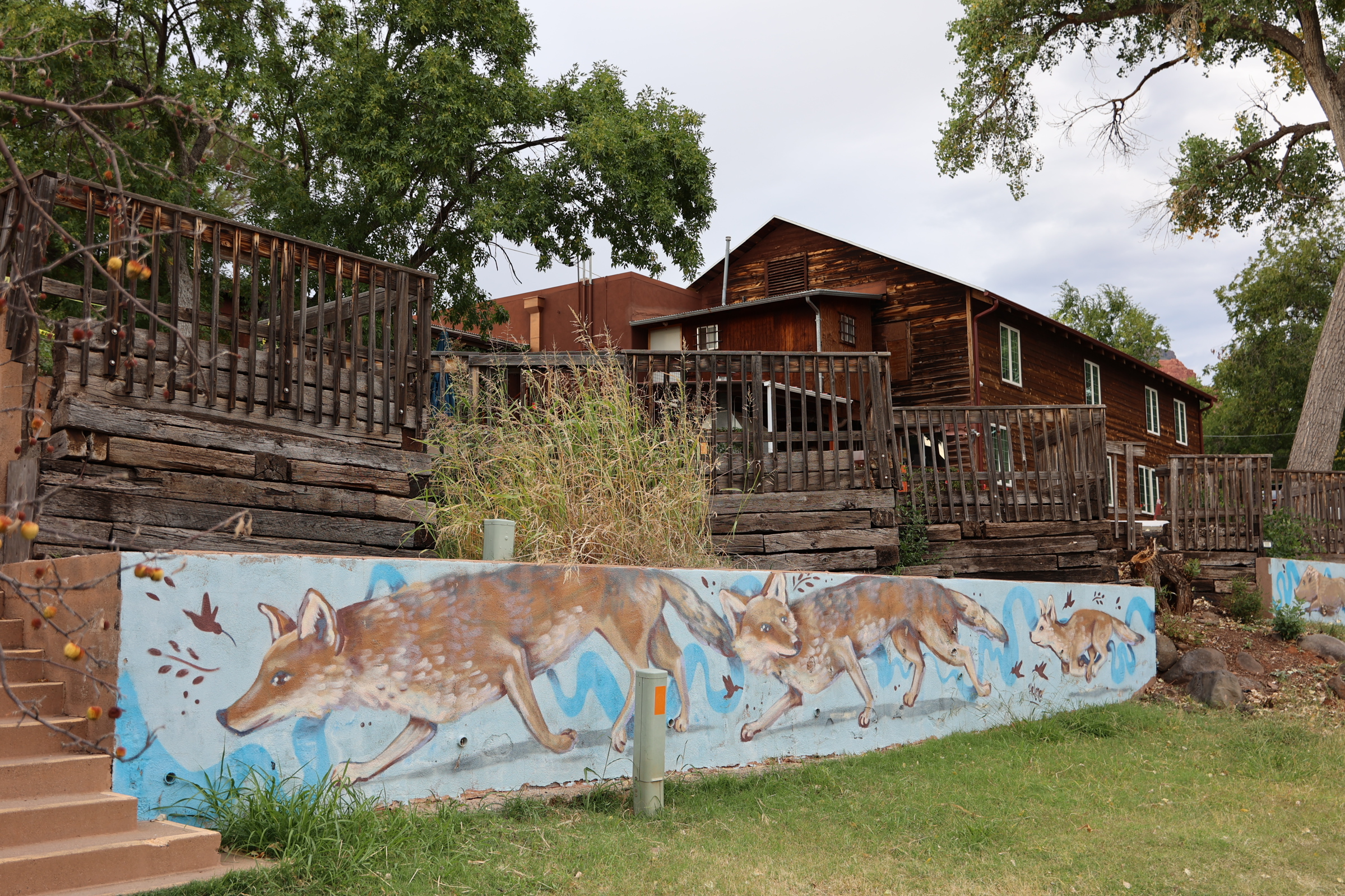 A mural of coyotes on a wall below a old building in Sedona